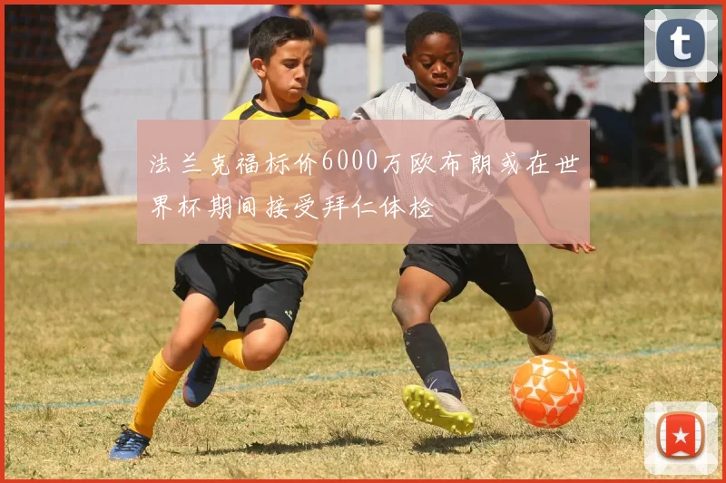 法兰克福标价6000万欧布朗或在世界杯期间接受拜仁体检