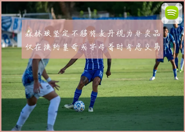 森林狼坚定不移将麦丹视为非卖品仅在换约基奇或字母哥时考虑交易